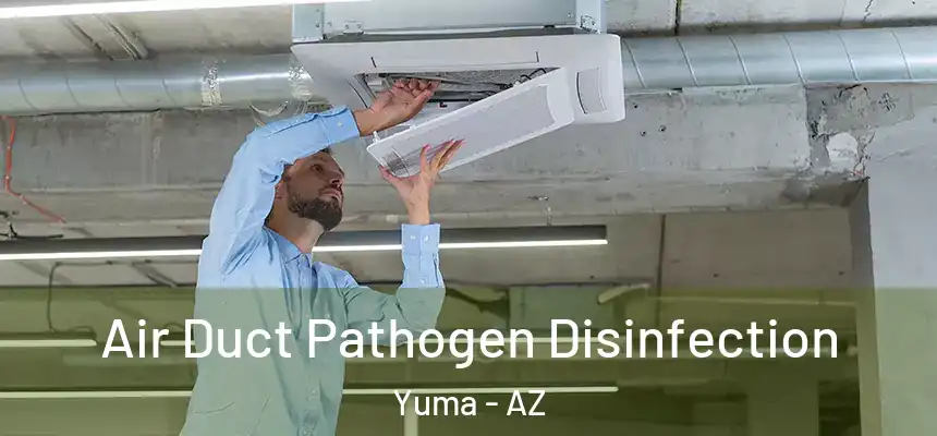  Air Duct Pathogen Disinfection Yuma - AZ