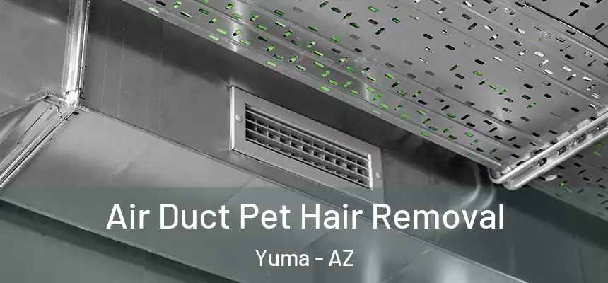  Air Duct Pet Hair Removal Yuma - AZ
