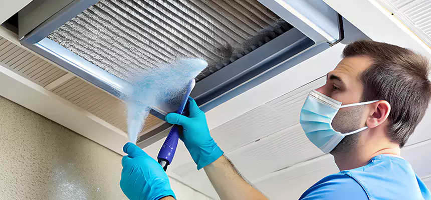 Proactive Dryer Vent & Auxiliary Duct Pollen Cleanup in Yuma, AZ