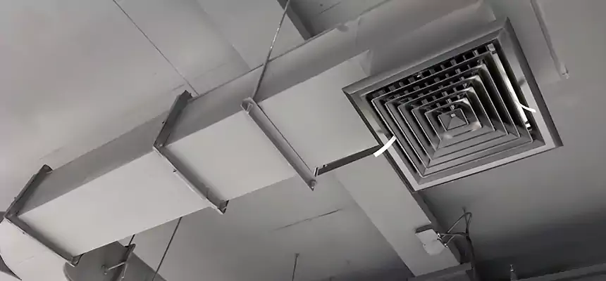 Restorative Allergy Relief Vent Cleaning – Coil, Blower & Housing Detail in Yuma