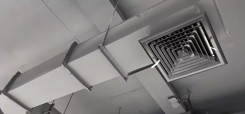 Our Pest Removal From Ducts Services in Yuma, AZ