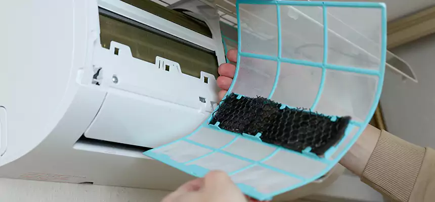 Gentle Ductwork Odor-Control Pet Dander Duct Cleaning in Yuma, AZ