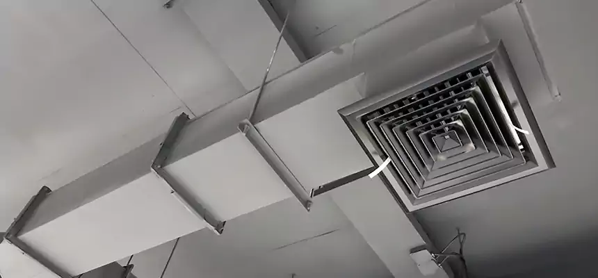 Our Rodent Droppings In Vents Services in Yuma, AZ