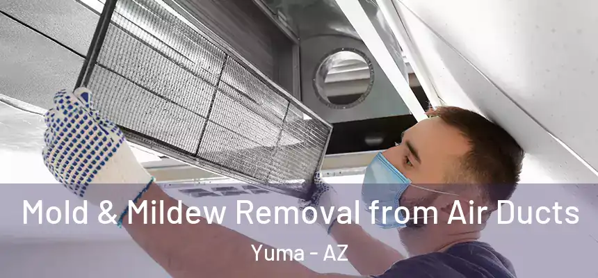  Mold & Mildew Removal from Air Ducts Yuma - AZ