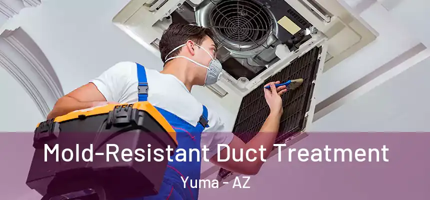  Mold-Resistant Duct Treatment Yuma - AZ