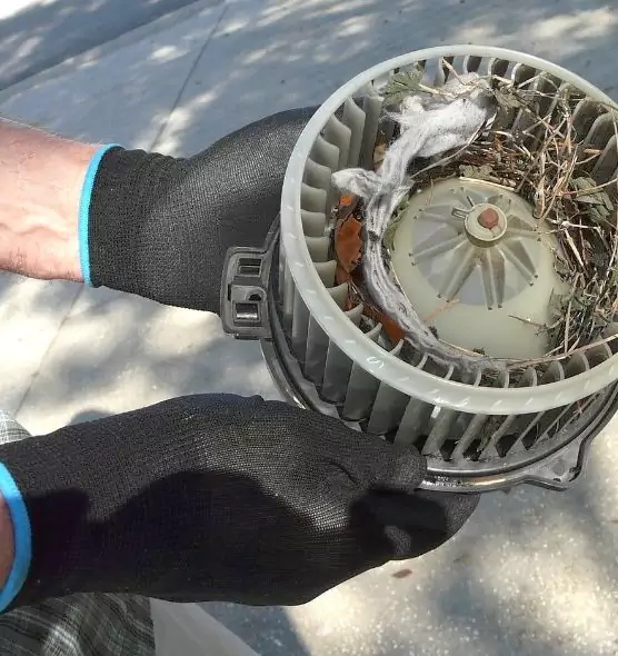 About Air Duct Mice Removal in Yuma, AZ