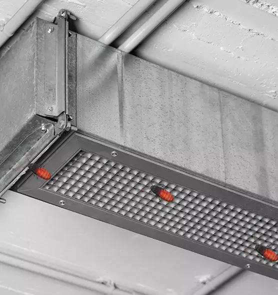Affordable Insect Removal from Air Ducts in Yuma, AZ