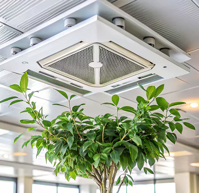 Why Homeowners & Businesses Trust Us in Yuma, AZ